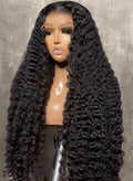 Burmese Curl HD
